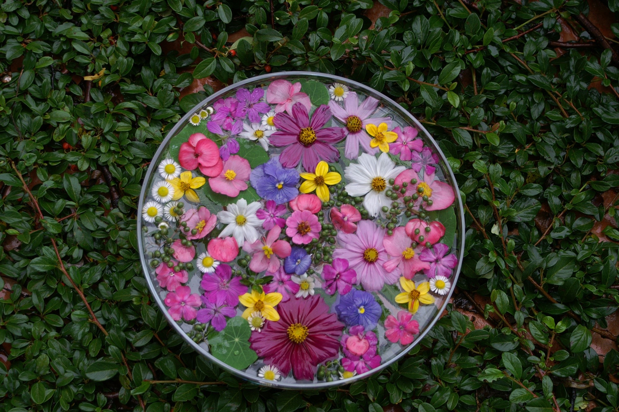 Kwiatowy kolaż  - dekoracja stołu